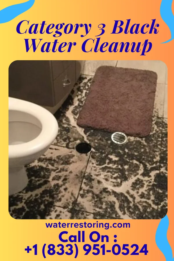Category 3 Black Water Cleanup in Cohassett Beach, WA