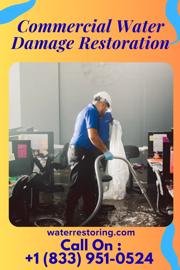 Commercial Water Damage Restoration in Cohassett Beach, WA